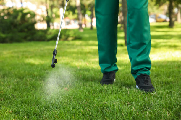 Best Rodent Control Near Me  in Safford, AZ
