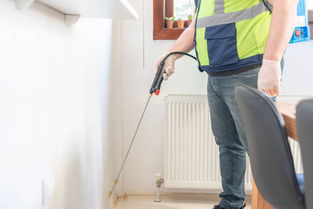 Best Rat Extermination Near Me  in Safford, AZ