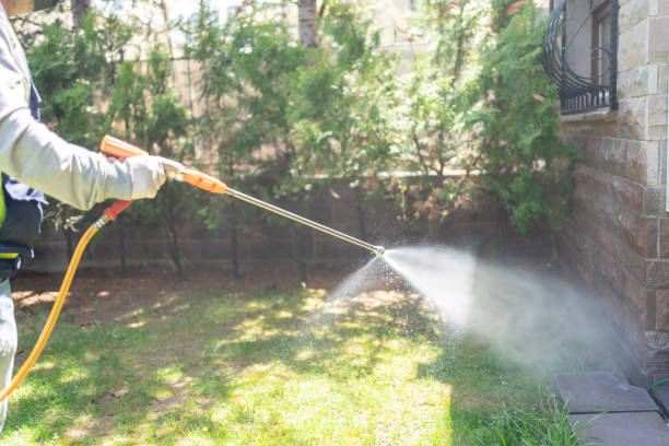 Best Pest Inspection Near Me  in Safford, AZ